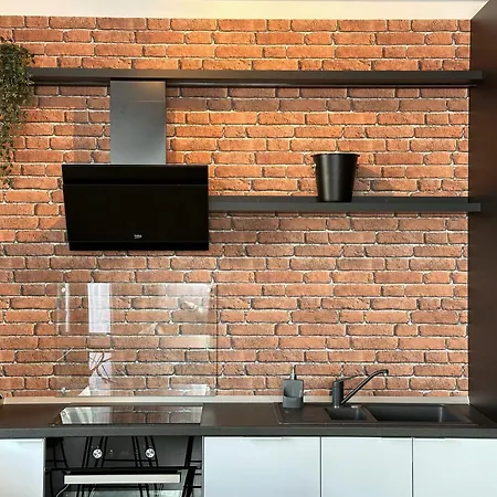 Koa - Moon Penthouse Apartment Brasov Exterior photo